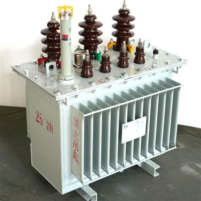 1000 KVA маслен силов трансформатор